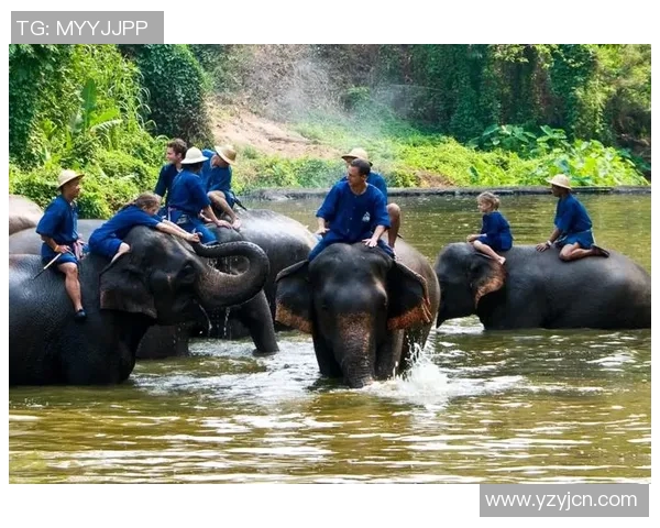 仁川冬土大象迎战釜山球队展现激情对决与精彩瞬间