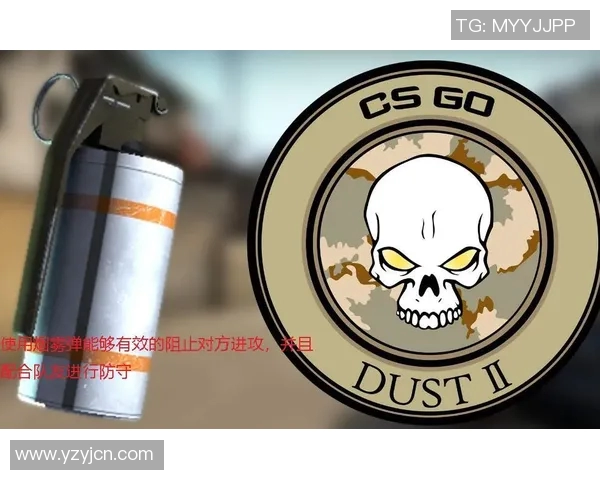 CSGO战术解析LNG区域防守体系的构建与应用探讨